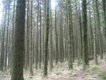 https://www.simonlewandowski.co.uk/files/gimgs/th-52_52_img8183.jpg