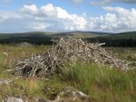https://www.simonlewandowski.co.uk/files/gimgs/th-52_52_woodpile05.jpg